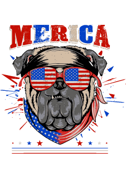 Perro gánster con bandera de americe